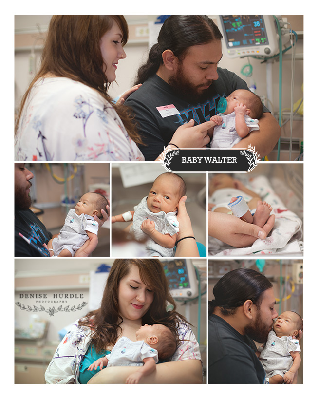 BabyWalterMedina-DeniseHurdlePhotography-Collage