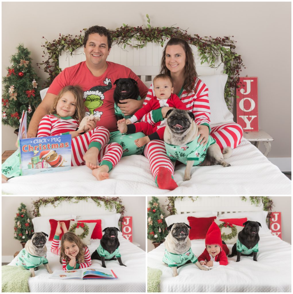 Christmas Pugs