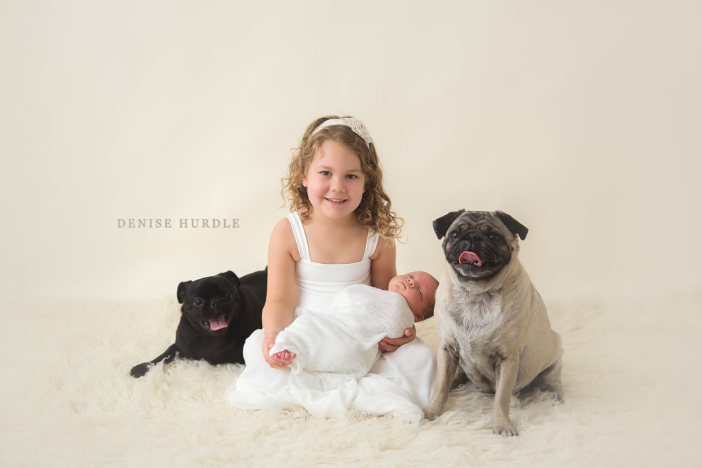 Newborn Session pugs