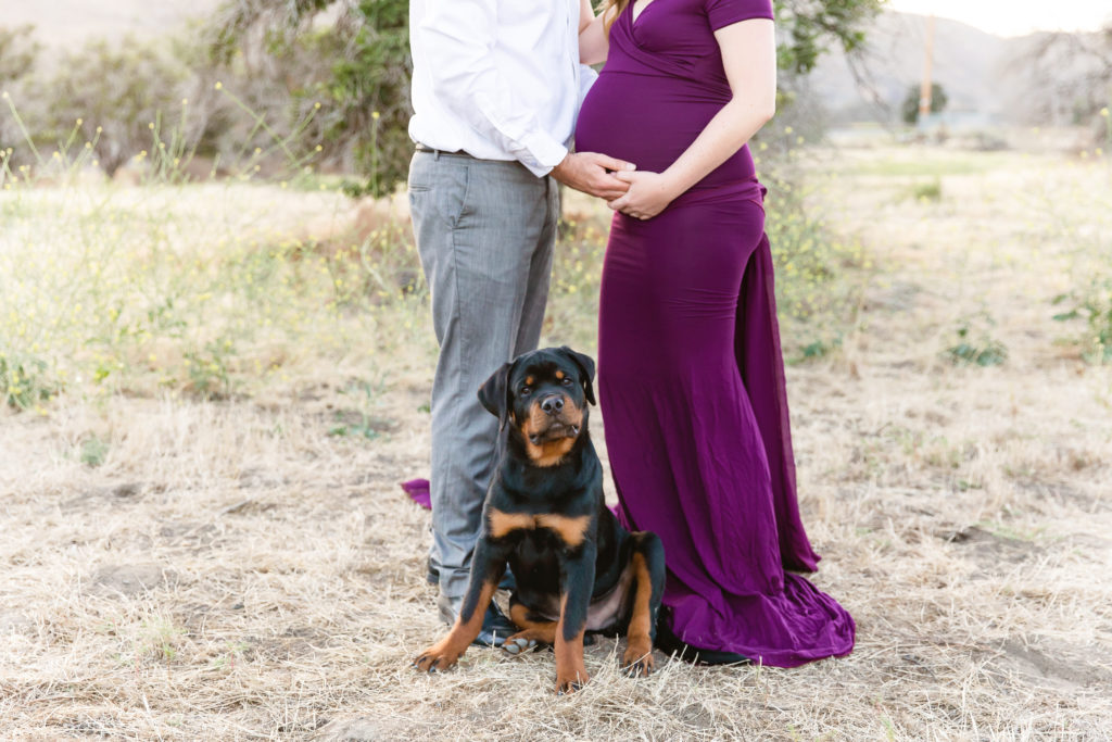 Orange County Maternity Photography